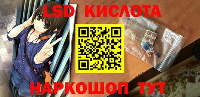 СК Бийск