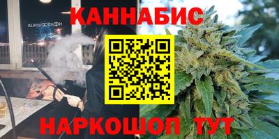 СК Бийск