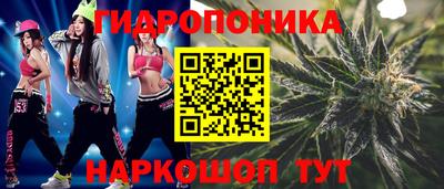 СК Бийск
