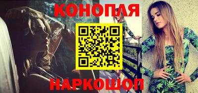 СК Бийск
