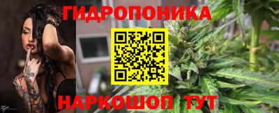 СК Бийск