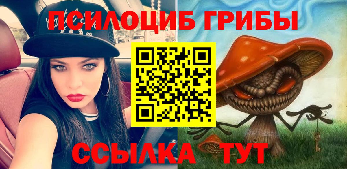 Клин  Галлюциногенные грибы Cubensis  Псилоцибиновые грибы мухоморы  Вход с VPN 