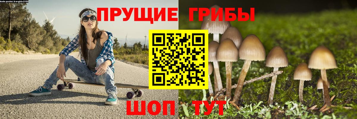 Псилоцибиновые грибы Psilocybine cubensis Клин